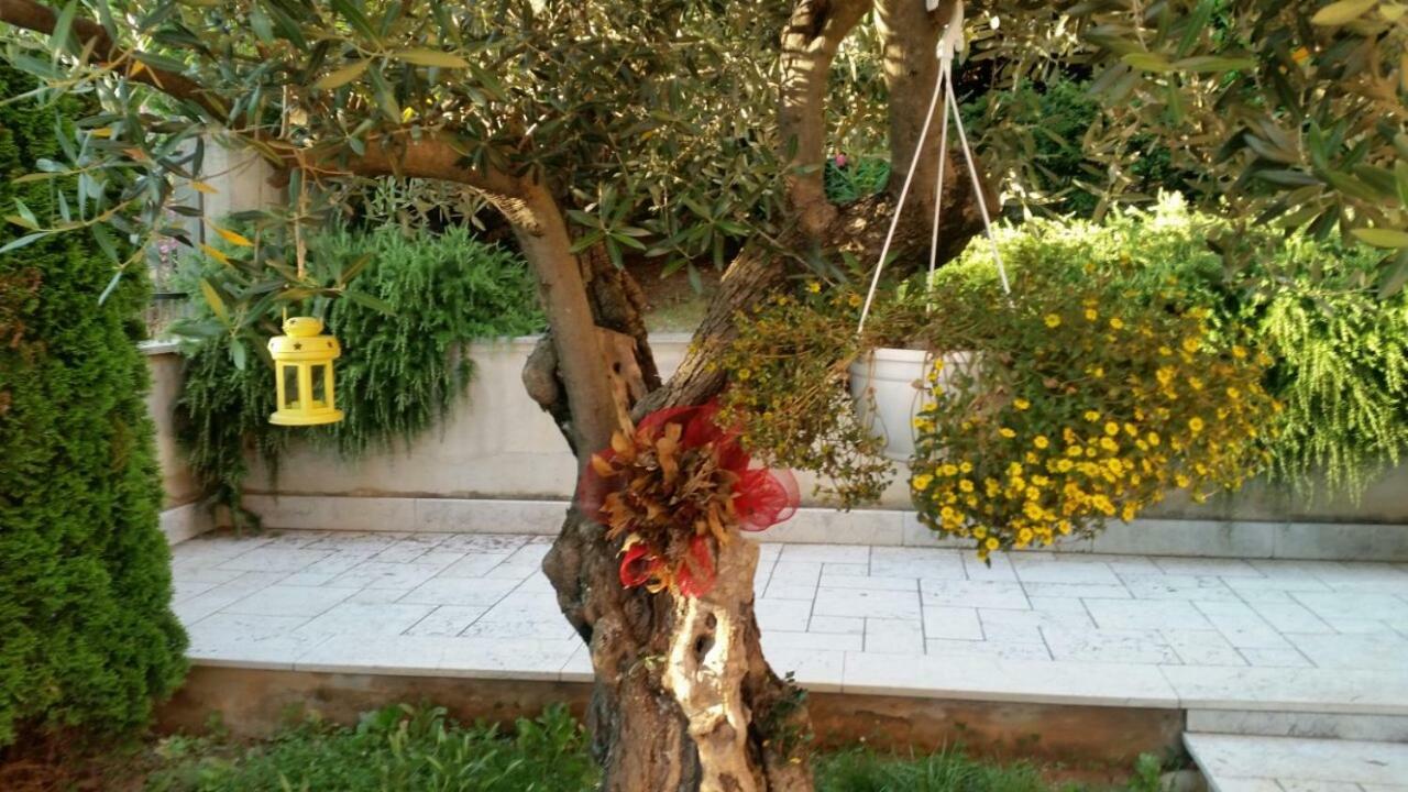 Apartments In Villa Azra غييكا المظهر الخارجي الصورة
